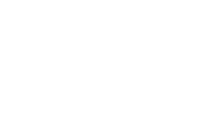 Vaccibody